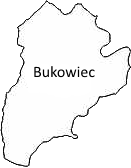bukowiec1